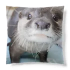 Ａｔｙショップのふたりは表裏一体 Cushion