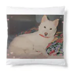 ♪mamashiro♪のリョク君 Cushion