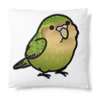 Cody the Lovebirdの(両面） 鳥さん達のキャンプ　カカポ、スズメ、オカメインコ、オキナインコ　Chubby Bird Cushion