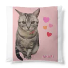 harupink🌸ペット似顔絵illustのアメショのアカリちゃん(REALver) Cushion