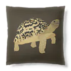 カメの歩みのヒョウモンガメ Cushion