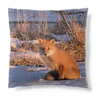 空屋　sorayakusakaの202201010715000　朝日の中のキタキツネ Cushion