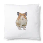 あるぱかとキンチャクダイのhamuketu Cushion