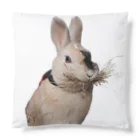 うさぎのマルチの丸地と福のクッション Cushion