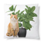 𝙈𝙊𝙈𝙊'𝙨 𝙎𝙝𝙤𝙥の植物とねこ Cushion