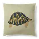 カメの歩みのホウシャガメ Cushion