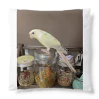 びすこ&みろのウロコインコのみーやん Cushion