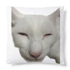 花鶴亀商店の笑亀 Cushion