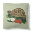 カメの歩みのギリシャリクガメズ Cushion