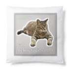 nekousagi*∩..∩の忠猫マチくん(ロゴ入り) Cushion