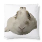 ソヒのショップの白いうさぎが可愛い Cushion