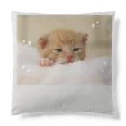 キイロチャンのもふもふねこちゃん Cushion