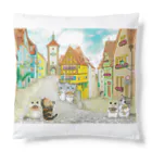 YOKO KOBAYASHIのニャンズ旅行記🇩🇪ドイツ Cushion