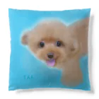 chacoのTAAちゃんクッション Cushion