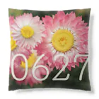 ς ua· Birthday flowerの6月27日 ローダンセ Cushion