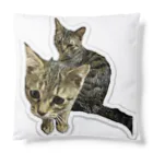 R&B.STUDIO WEBSHOPのキャッッット Cushion