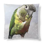 ウロコインコ好きの人へのかわいさを全面に Cushion