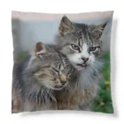 ニゴ猫　shopの愛だろう愛 Cushion