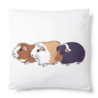 OKameMolꕤ︎︎オカメモルの3色の個性派モルモット Cushion