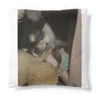 我が家の愛犬のぬくぬくモコ Cushion