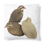 でぶんちょう🦆のぐるぐるイワシャコ Cushion