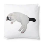 クリスタの尻尾が短い保護猫 たぬちゃん Cushion