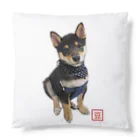 うたた寝の🐾豆柴BOY🐾 世界中で愛される柴犬　1歳 Cushion