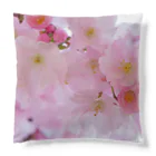 orange_honeyの桜13 Cushion