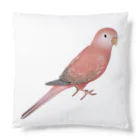 まめるりはことりのアキクサインコ　ピンク【まめるりはことり】 Cushion