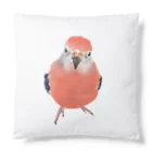 アキクサインコとウロコインコのアキクサインコ Cushion