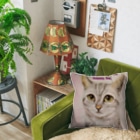 harupink🌸ペット似顔絵illustのしあわせアメショにゃんこ Cushion