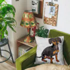 【CPPAS】Custom Pet Portrait Art Studioのかわいいダックスフントの子犬 - レンガブロックの背景 Cushion