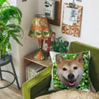 豆柴まる。の豆柴まる。 Cushion