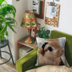 みわ☆うさぎのぼさつのぼさつ Cushion