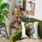 トロールショップの我が家のお猫様が見てます(笑) Cushion