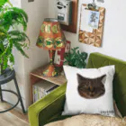 nyanmochi_lifeのびっくり猫シリーズ② Cushion