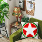 SuzutakaのSuica star Cushion