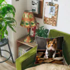 Sheltie Chic Creationsのシェルティ17 Cushion