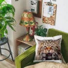 日向ぼっこのずぶ濡れ猫 Cushion