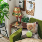 SkyBlueのもふもふな子猫 Cushion