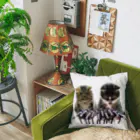 ニゴ猫　shopの記者会見 Cushion