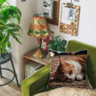 IKEDAYAの寝ている猫 Cushion