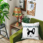 kossat-shopの保護猫源ちゃんデビュー！ Cushion