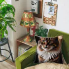 ねこネコちゃんのねこネコちゃん Cushion