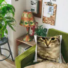 キャットモカの猫のサイベリアン Cushion