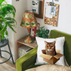 猫の小梅お嬢さんの小梅ちゃん　箱猫 Cushion