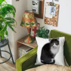 D・K　Design.saitama　ディーケーデザインさいたまのなあや Cushion