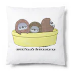 ヤママユ(ヤママユ・ペンギイナ)のタライリムジン(ケープ、マゼラン、フンボルト) Cushion