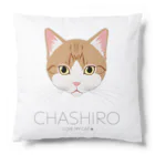 Baby Tigerのねこラブ・茶白 Cushion