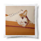 Kitty-Kitty(キティキティ)のお疲れ猫ちゃん Cushion